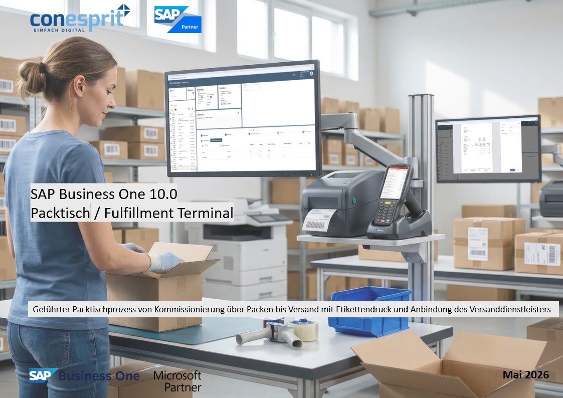 SAP Business One Fulfillment-Terminal Handbuch Anleitung Schulung